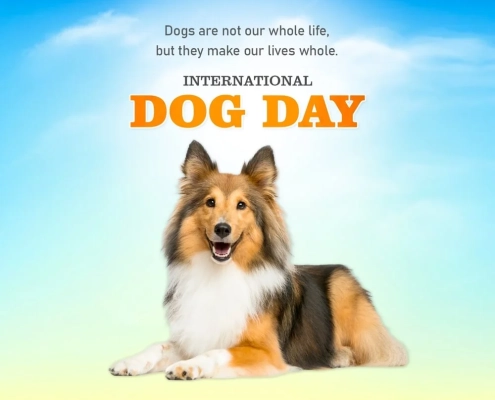 International Dogs Day
