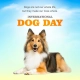 International Dogs Day