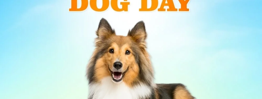 International Dogs Day