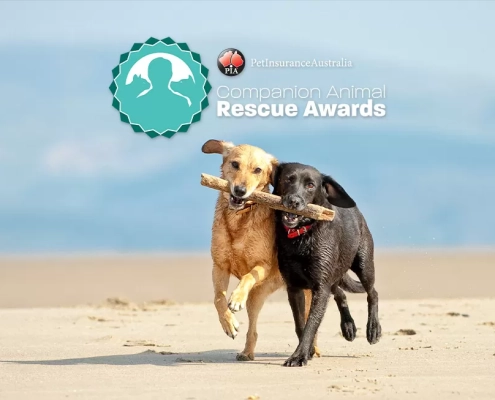 2022 rescue awards
