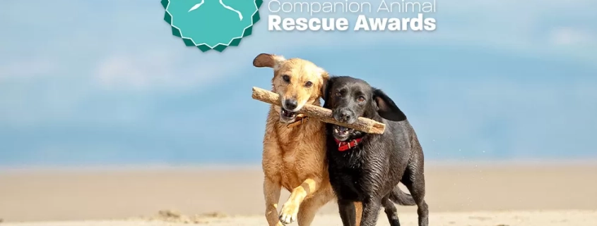 2022 rescue awards