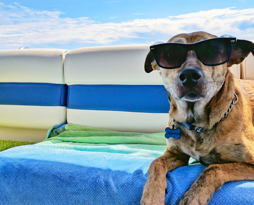 warning social media