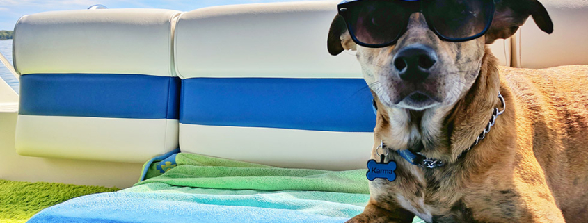 warning social media