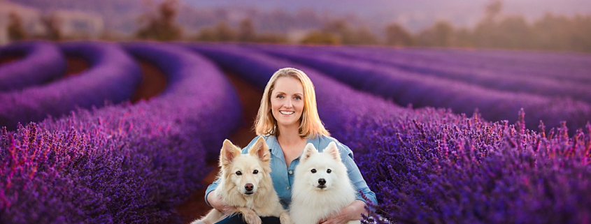 puppytalesphotography Bridestowe Lavender Estate TAS