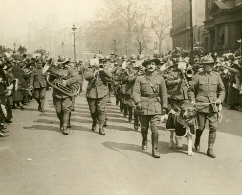 anzac day dogs