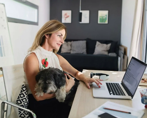 dog to work day 2024