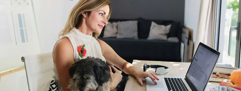 dog to work day 2024