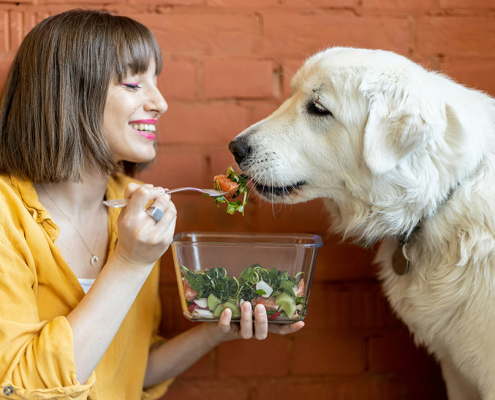 feeding pets human food