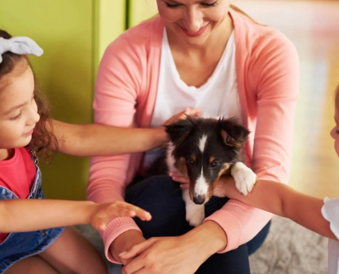 Early Puppy Socialisation