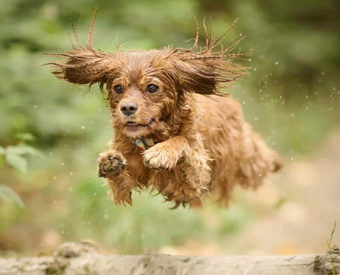 national tick awareness