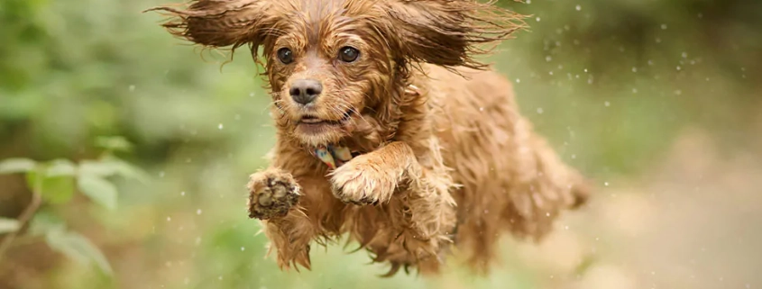 national tick awareness